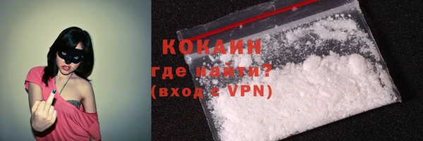 шишки Заволжье