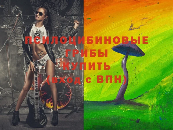 apvp Санкт-Петербург