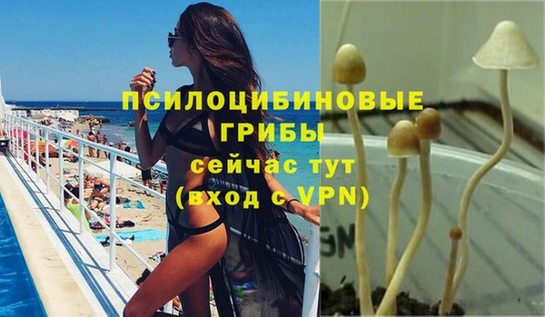 apvp Санкт-Петербург