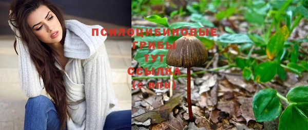 шишки Заволжье