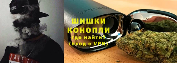 шишки Заволжье