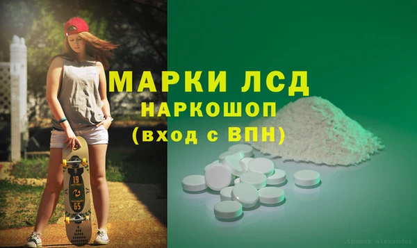 стафф Елизово