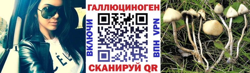 Галлюциногенные грибы Magic Shrooms  Медвежьегорск 